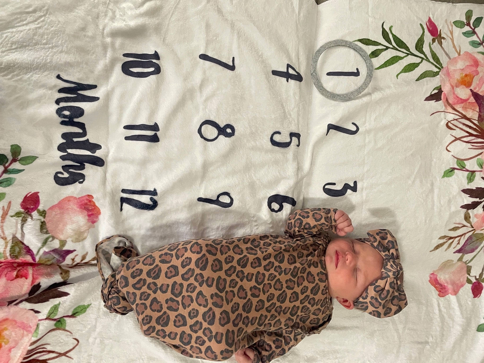 Lylah joined the competition — help win amazing prizes! bedding, craft, design, felidae, font, fur, happy, headwear, linens, needlework, pattern, peach, person, petal, product, room, rose, sleeve, textile, visual_arts