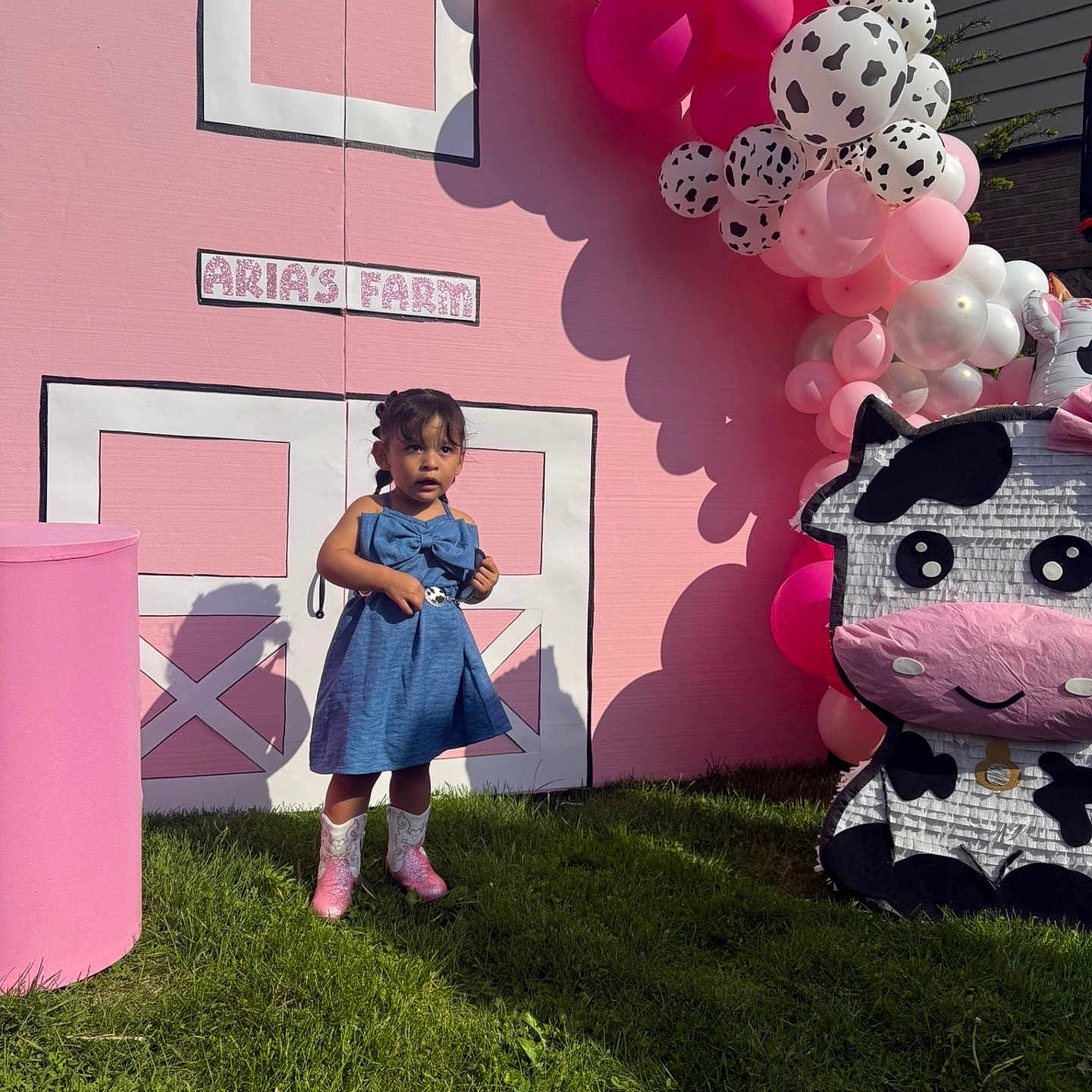 Aria joined the competition — help win amazing prizes! barn_backdrop, blue_dress, celebration, child, cow_decoration, curious_expression, decorations, event, festive, girl, grass, kids_party, outdoor, party, pink_balloons, pink_cowboy_boots, playful, sunny, white_balloons, yard