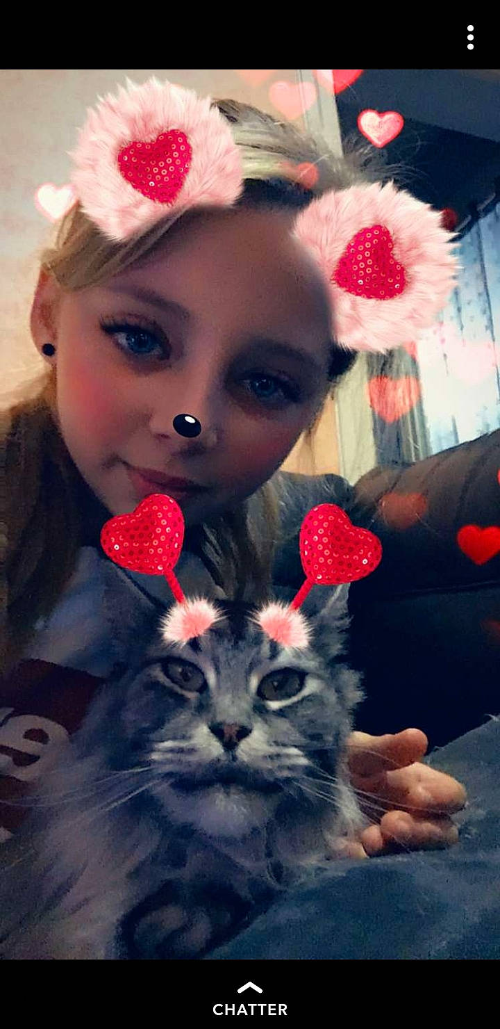 Jade participe au concours pour gagner de l'argent avec cette photo : ear, fur, headwear, person, whiskers