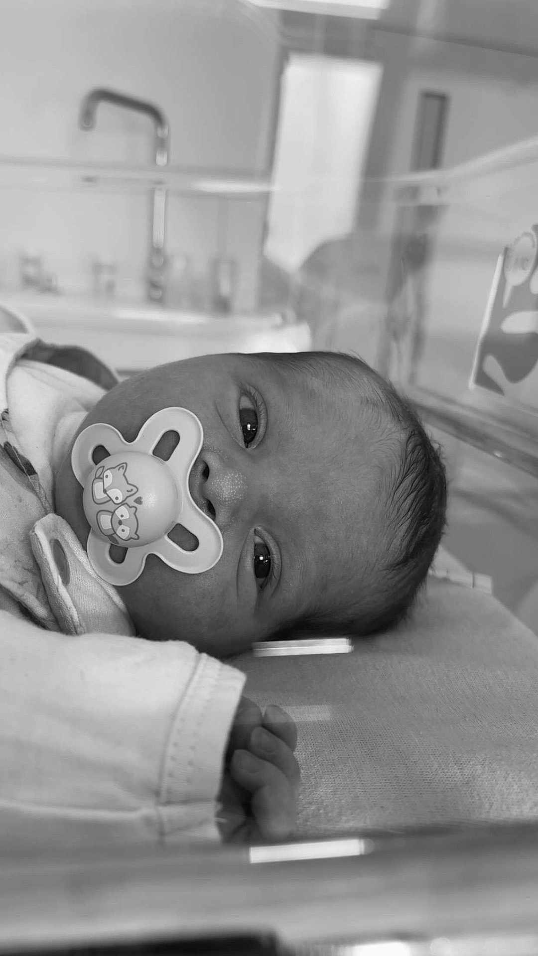 Alessio