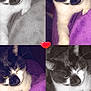 Mickey a rejoint le concours — aidez-le/la à gagner de superbes lots ! abyssinian, animal, art, cat, collage, couch, face, furniture, head, heart, homedecor, kitten, linen, manx, person, pet, photography, portrait, purple, sleeping