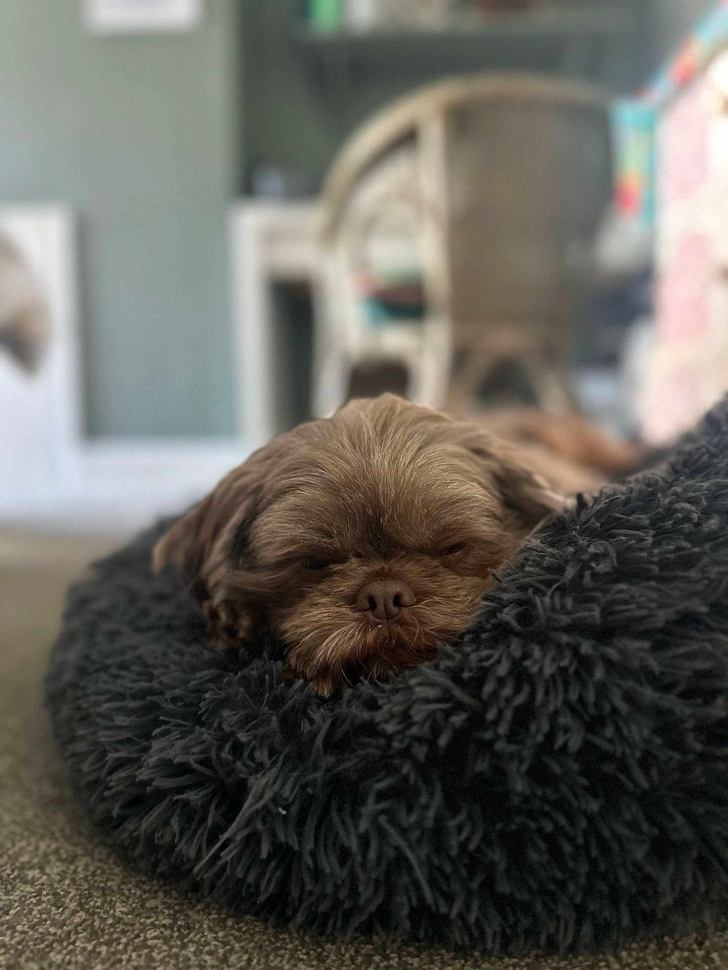Bertie