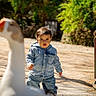 child, toddler, denim_jacket, jeans, goose, bird, outdoor, sunlight, pathway, greenery, fence, animal, curious, walking, nature, daylight, young_child, casual_clothing, portrait, park