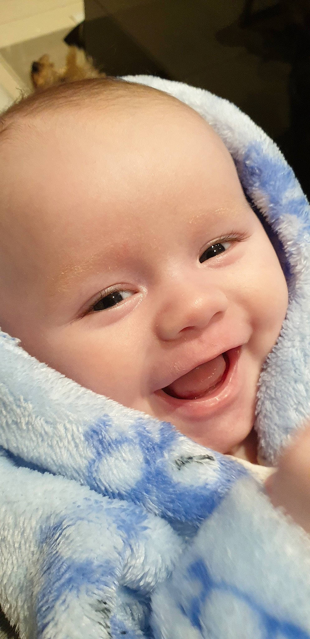 Lucca joined the competition — help win amazing prizes! baby, beauty, cheek, child, chin, close_up, eye, eyebrow, face, facial_expression, forehead, head, lip, mouth, nose, person, portrait_photography, skin, smile, textile