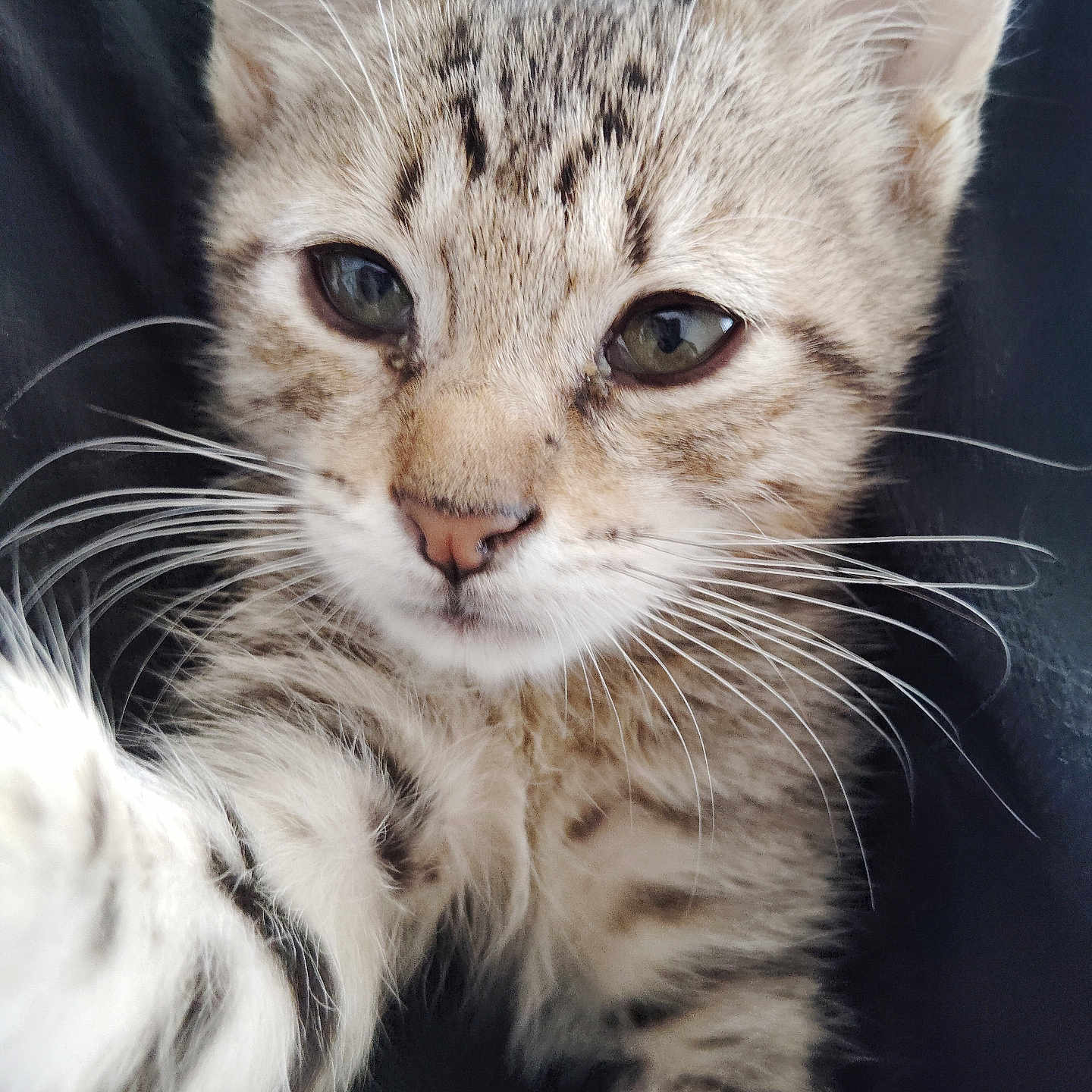 Avatar A.w.r.c Yardy