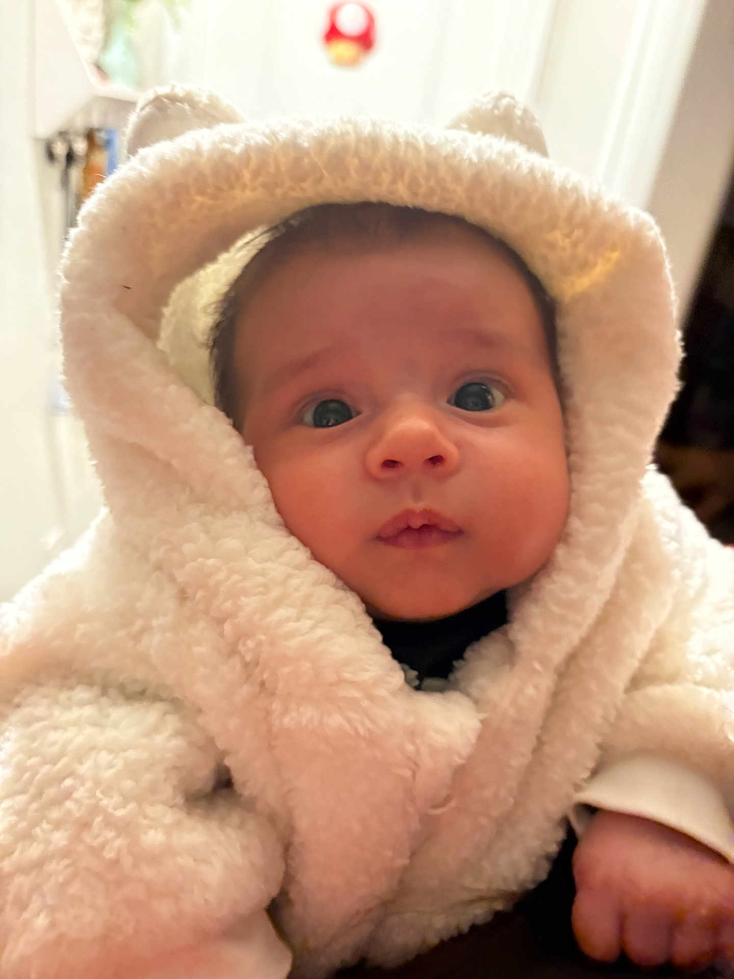 Benjamin joined the competition — help win amazing prizes! baby, child, face, hood, coat, white, fur, cute, curious, indoor, warm, clothing, person, portrait, small, hands, soft, winter, closeup, expression