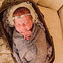 newborn, baby, infant, sleeping, wrapped, blanket, headband, flower, basket, wooden, lace, knitted, cozy, soft, portrait, indoors, cute, peaceful, resting, hands