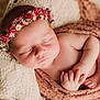 Delaney is registered to the contest to win money with this photo: newborn, baby, sleeping, flower_crown, blanket, pillow, soft_texture, closeup, infant, peaceful, wrapped, cute, skin, hand, foot, indoors, portrait, resting, knitted, warm_lighting