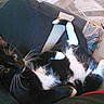 Winter is registered to the contest to win money with this photo: cat, tuxedo_cat, black_and_white, pet, animal, feline, whiskers, green_eyes, belly, paws, lying_down, upside_down, lounging, cushion, sofa, indoor, home, human_arm, tattoo, relaxed