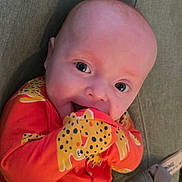 Seb is registered to the contest to win money with this photo: baby, infant, child, face, hand, orange_clothing, cheetah_print, cute, smiling, blue_eyes, sitting, soft_fabric, green_background, portrait, young_child, chewing, happy, closeup, indoors, casual