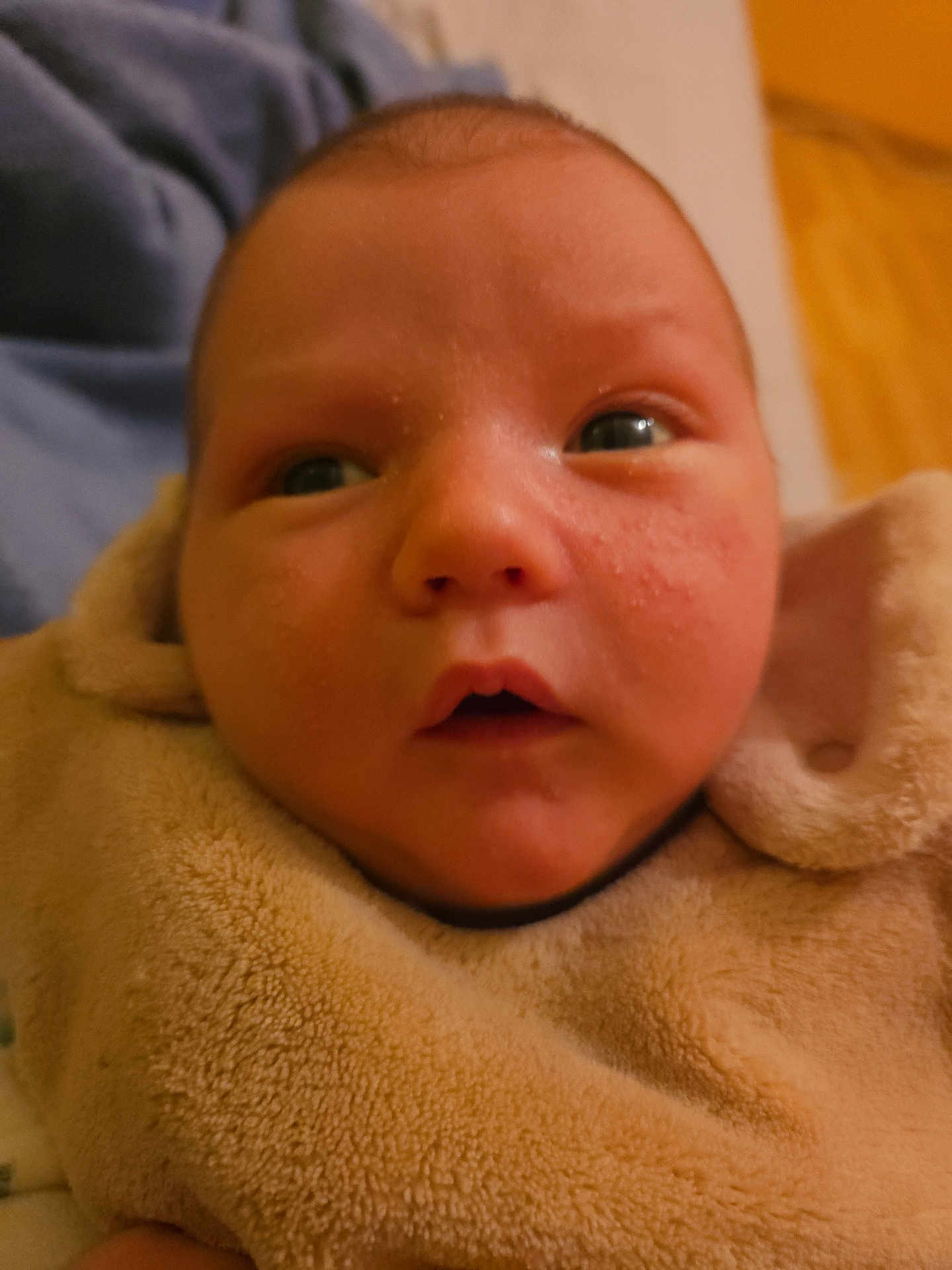 Ethan participe au concours pour gagner de l'argent avec cette photo : baby, infant, face, closeup, blanket, cozy, expression, newborn, skin, portrait, child, indoor, person, young, cute, soft, warm, sleepwear, head, eyes