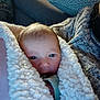 Cataleya a rejoint le concours — aidez-le/la à gagner de superbes lots ! baby, blanket, cozy, couch, curious, face, fuzzy, home, indoor, knitted_sweater, person, portrait, resting, soft_texture, snug, toddler, wrapped, warm, young_child, infant