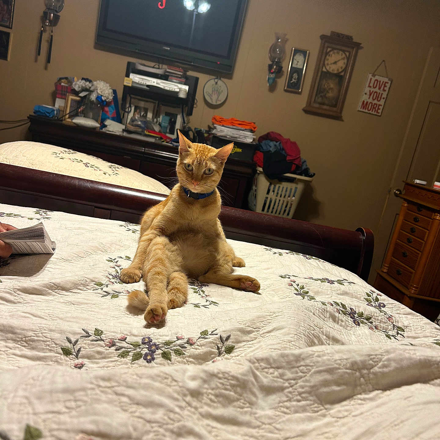 Simbba