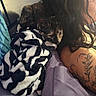 cat, tabby_cat, pet, sleeping, cuddling, person, bedroom, bed, blanket, zebra_print, bedding, cozy, indoor, portrait, close_up, long_hair, tattoo, relaxed, nap, home