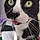 Filou