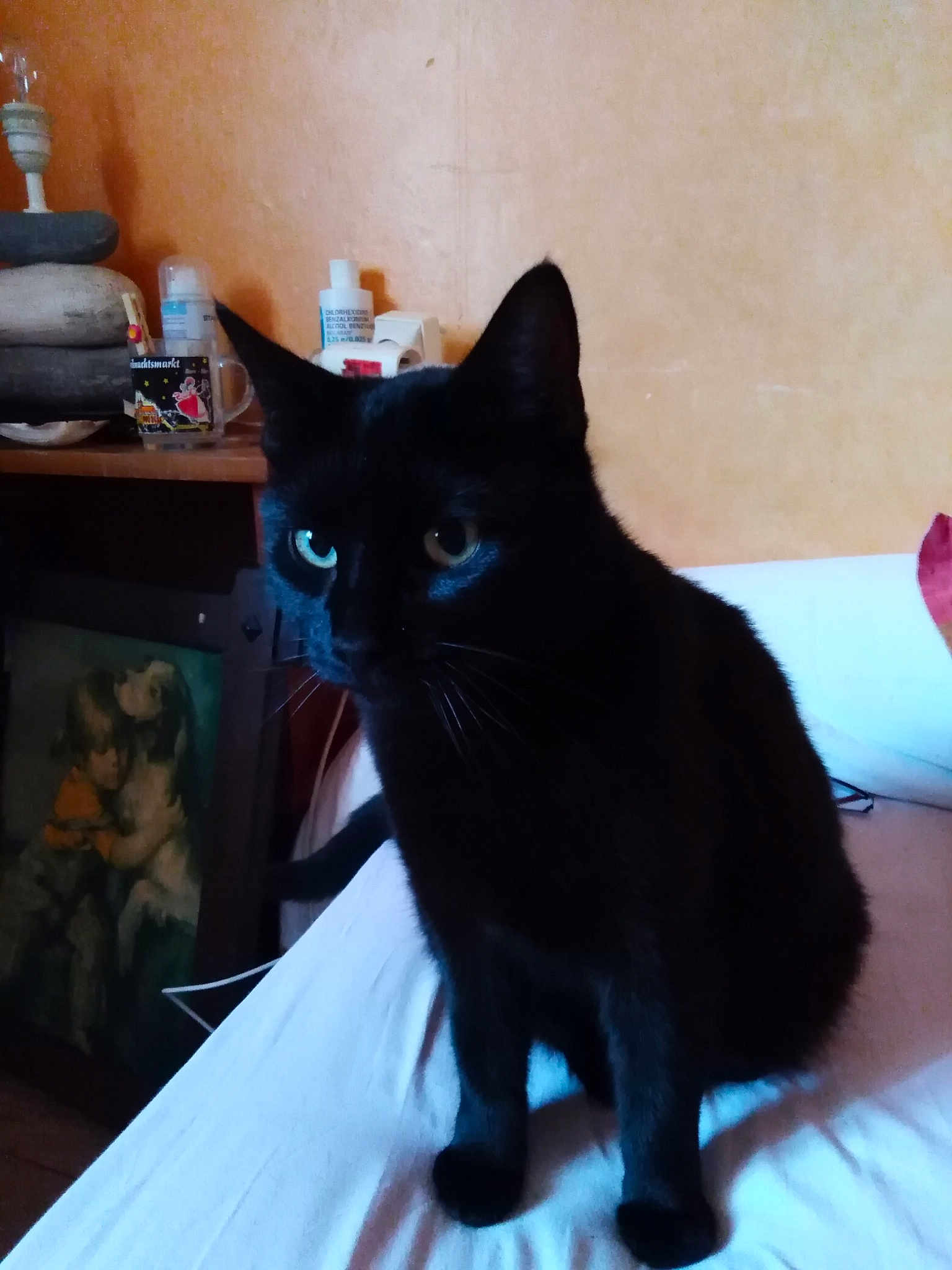 Mirtye