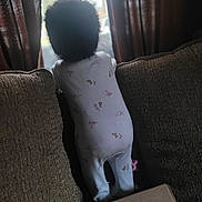 Kyzez Nicole Cox is registered to the contest to win money with this photo: toddler, child, onesie, curly_hair, couch, cushion, window, curtains, indoors, cardboard_box, back_view, standing, soft_light, home, cozy, baby, fabric, furniture, looking_out, quiet