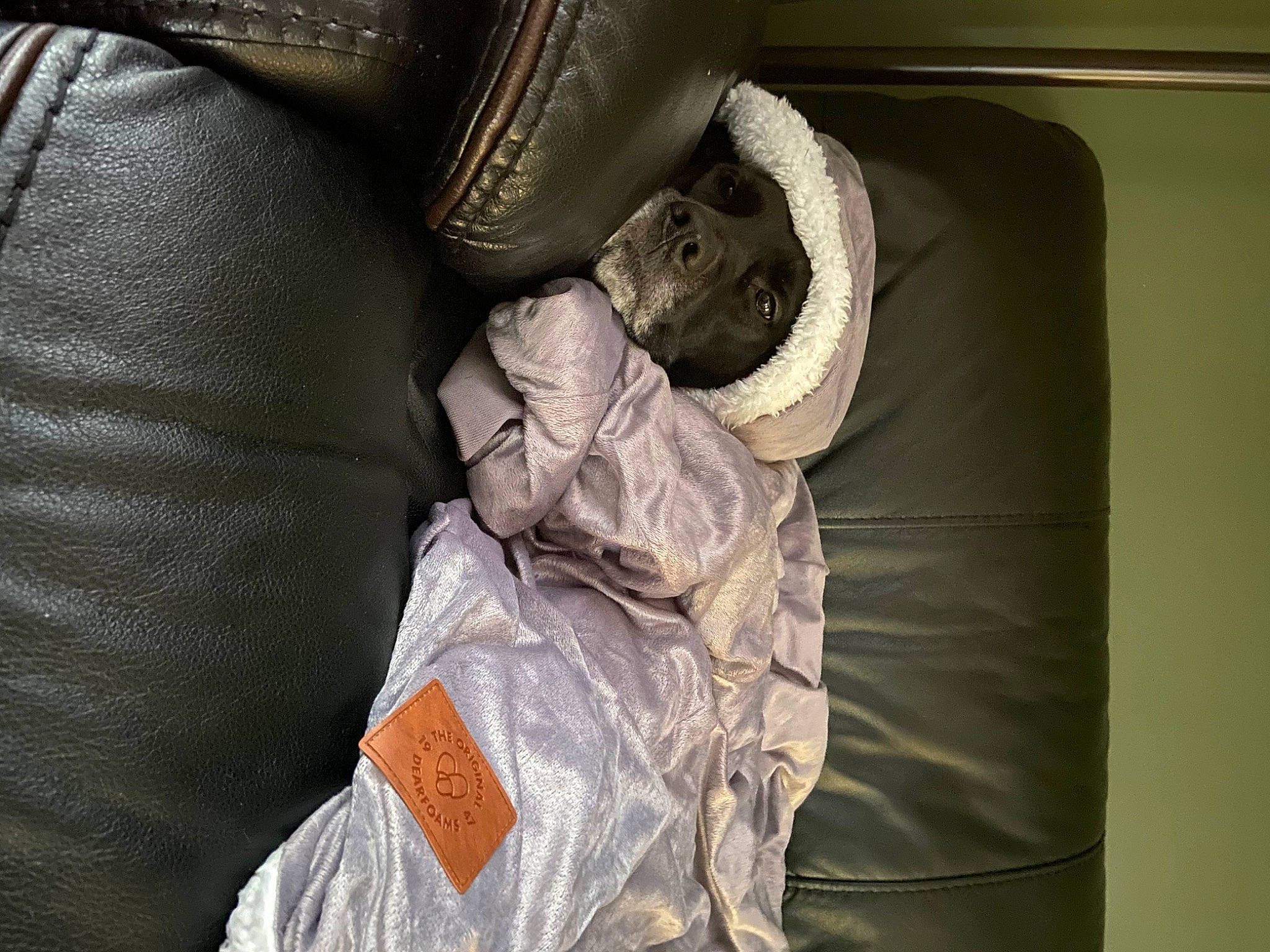 Josie joined the competition — help win amazing prizes! auto_part, automotive_design, automotive_tire, automotive_wheel_system, car_seat, comfort, darkness, family_car, gesture, luxury_vehicle, metal, motor_vehicle, pattern, personal_protective_equipment, plastic_bag, room, sleeve, tints_and_shades, vehicle_door, wood