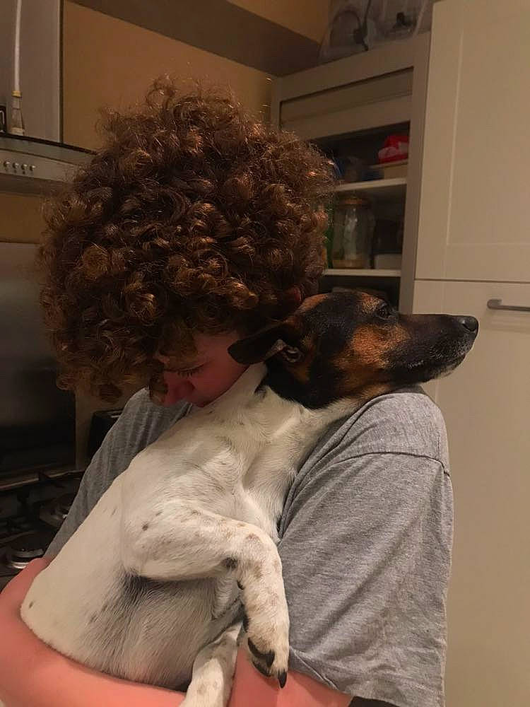 Jessy a rejoint le concours — aidez-le/la à gagner de superbes lots ! canidae, carnivore, companion_dog, dog, dog_breed, lagotto_romagnolo, pointer, retriever, sporting_group, standard_poodle, toy_dog