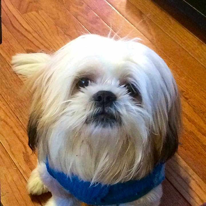 Toby joined the competition — help win amazing prizes!