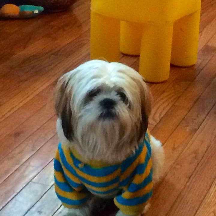Toby