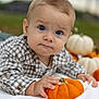 Damian joined the competition — help win amazing prizes! baby, child, blue_eyes, plaid_shirt, pumpkin, orange_pumpkin, white_pumpkin, blanket, outdoor, fall, autumn, cute, portrait, toddler, grass, nature, seasonal, holiday, face, hands