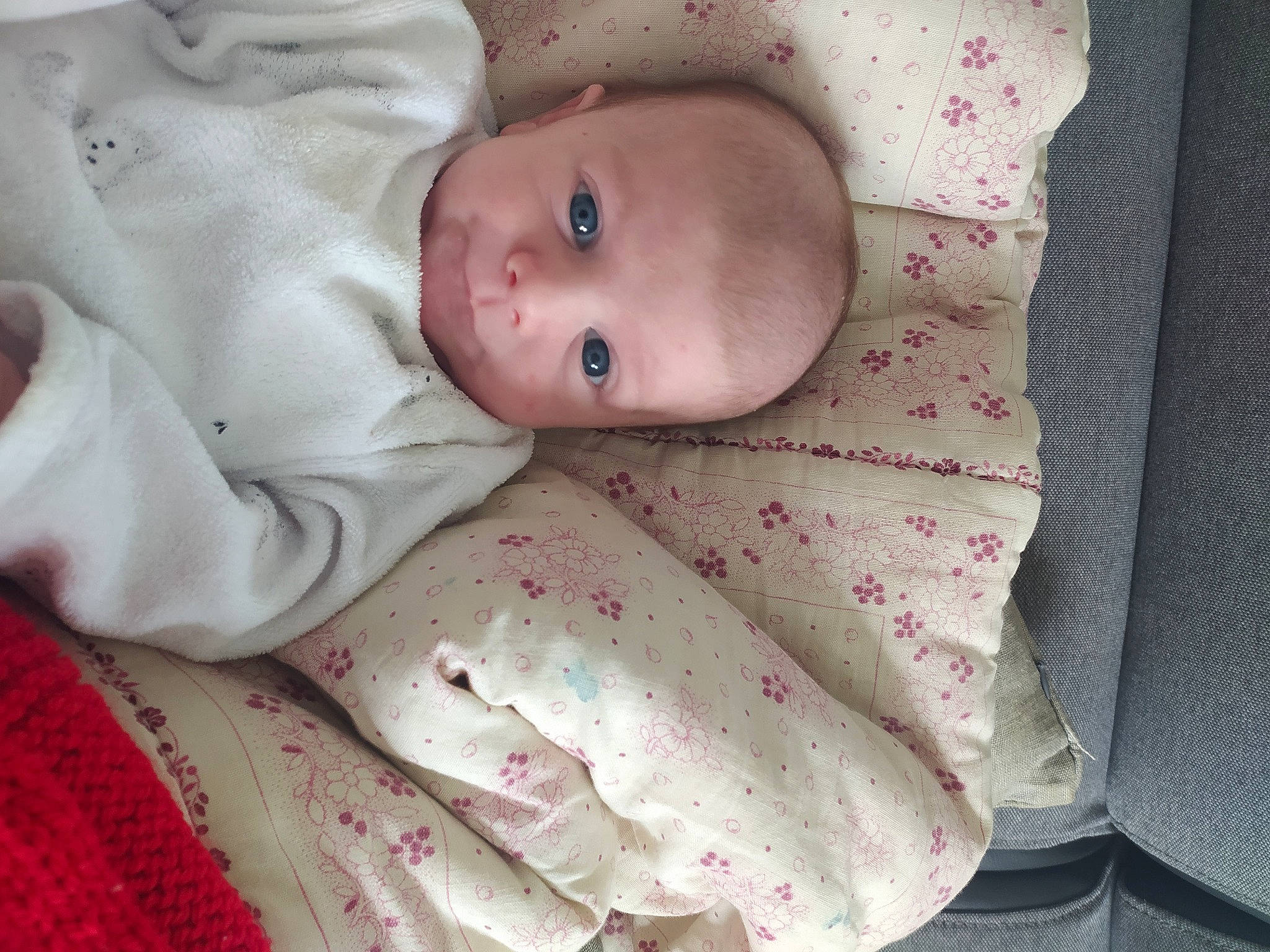 Nora a rejoint le concours — aidez-le/la à gagner de superbes lots ! baby, baby_products, baby_toddler_clothing, cheek, child, comfort, eye, hat, human_body, iris, linens, lip, nose, pattern, person, pink, product, skin, sleeve, textile