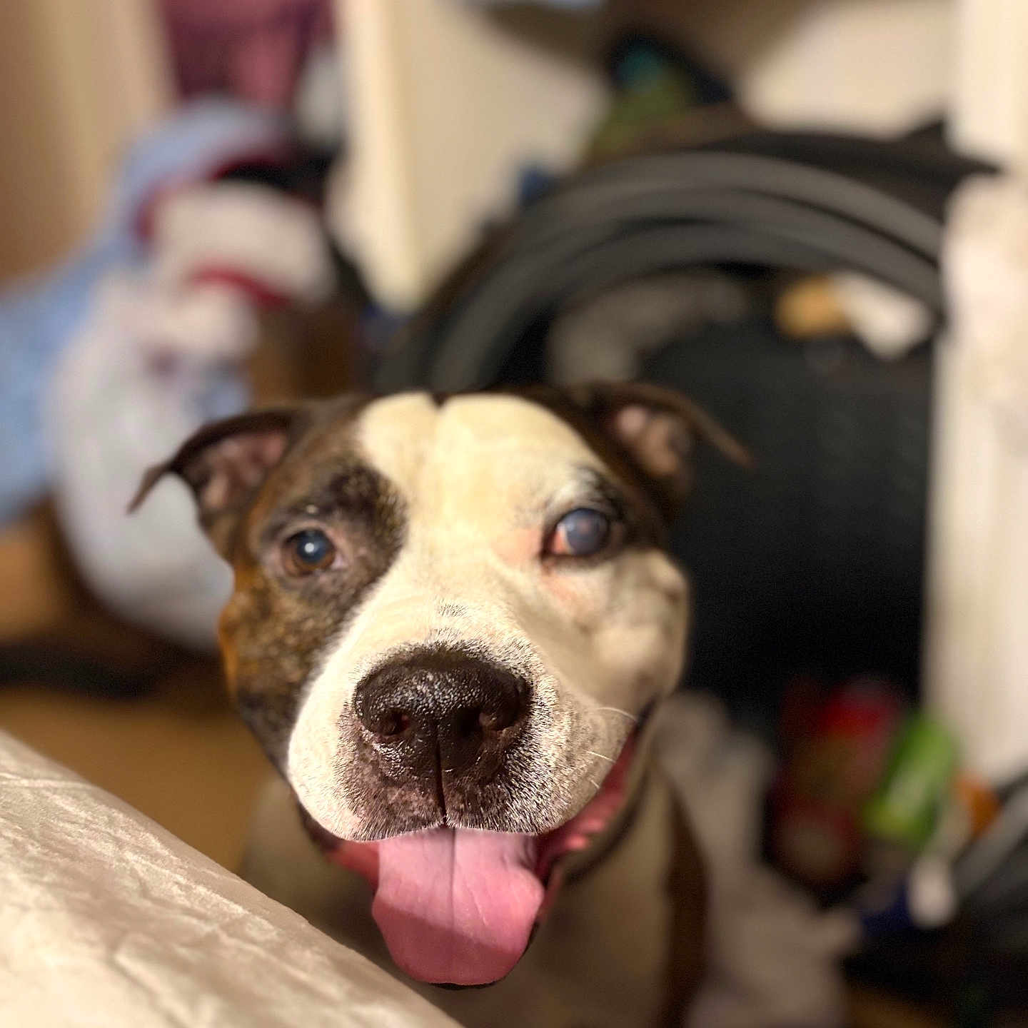 Tyson