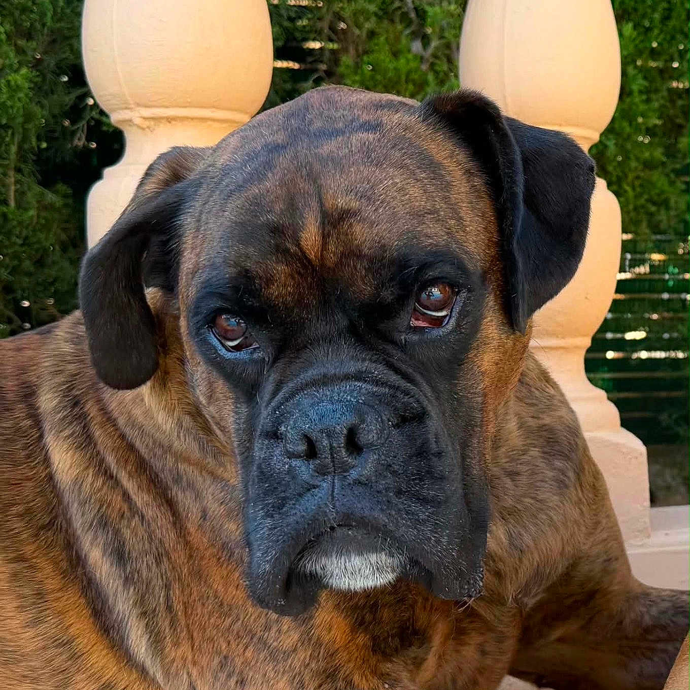 King