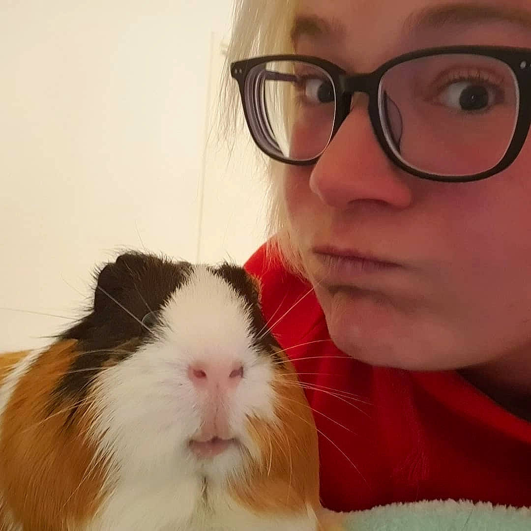 Ernest a rejoint le concours — aidez-le/la à gagner de superbes lots ! ear, eye, eyewear, fawn, fur, gerbil, glasses, guinea_pig, nose, photography, rodent, selfie, snout, vision_care, whiskers