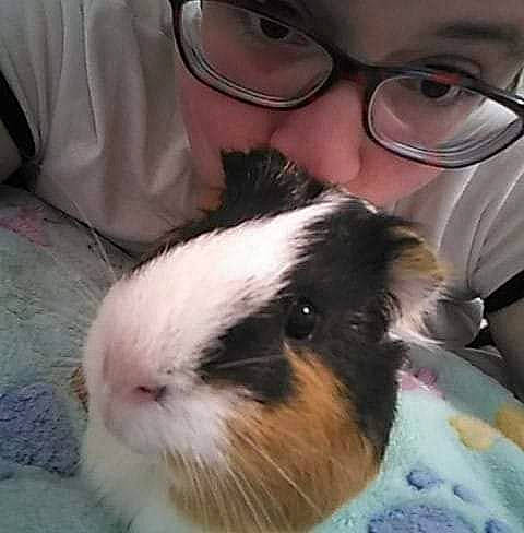 Ernest a rejoint le concours — aidez-le/la à gagner de superbes lots ! domestic_rabbit, ear, eyewear, glasses, guinea_pig, nose, photography, rabbit, rabbits_and_hares, rodent, selfie, snout, whiskers
