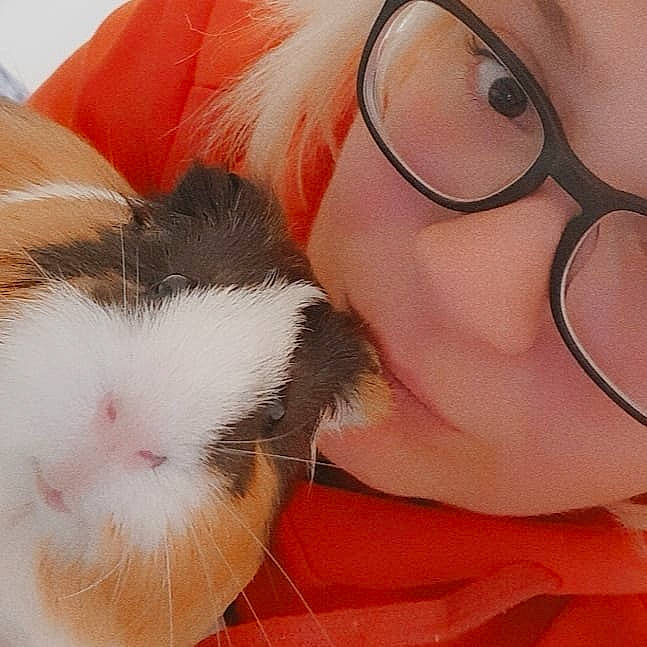 Ernest participe au concours pour gagner de l'argent avec cette photo : ear, eyewear, fawn, fur, glasses, guinea_pig, hamster, nose, rabbit, rabbits_and_hares, rodent, snout, whiskers