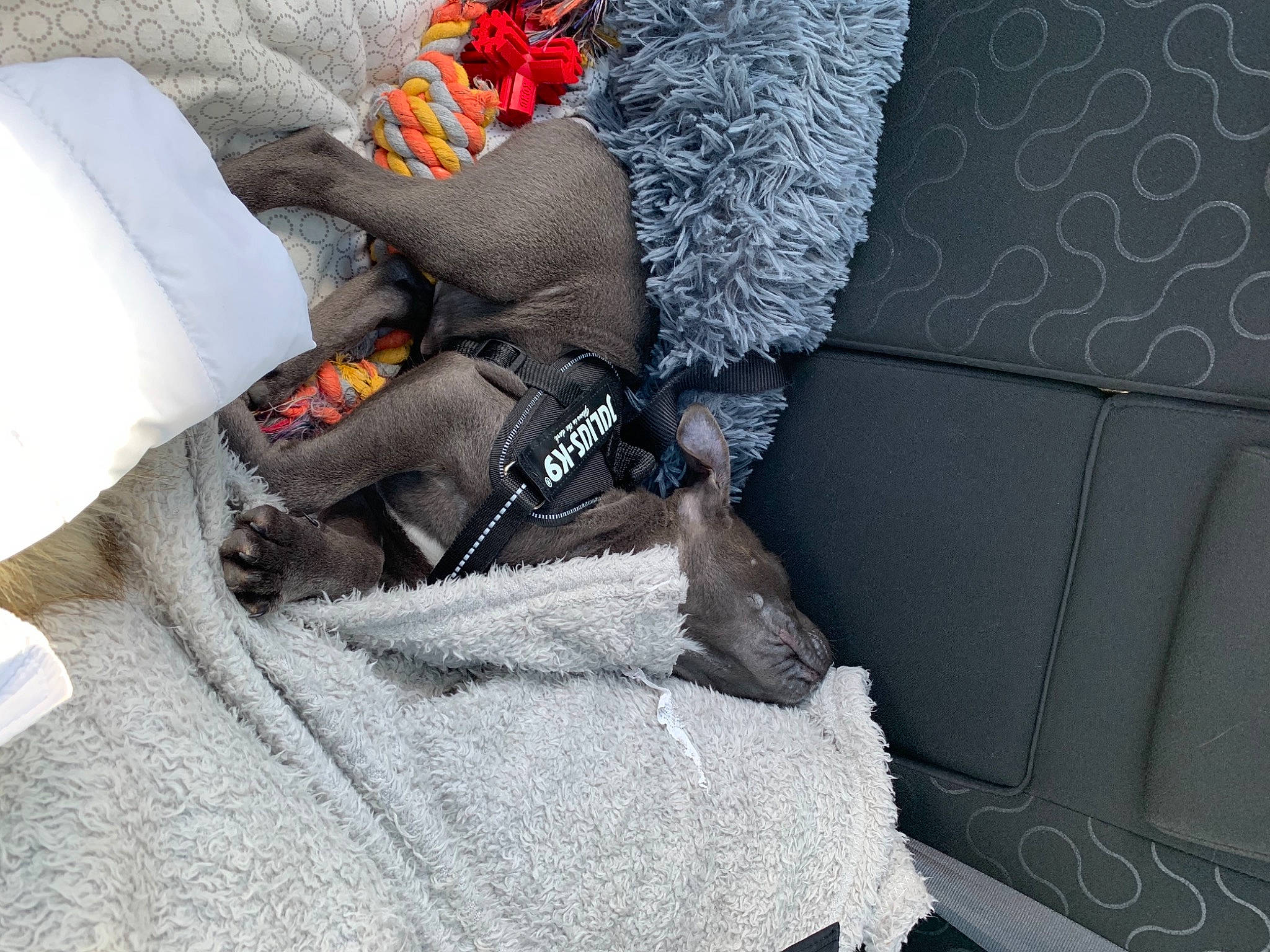 Reïko a rejoint le concours — aidez-le/la à gagner de superbes lots ! bag, bed_sheet, bedding, blanket, carmine, comfort, couch, denim, grey, human_leg, linens, luggage_and_bags, nap, pattern, pillow, room, sleeve, t_shirt, textile, window