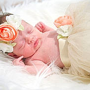 Aurora-Grace joined the competition — help win amazing prizes! baby, newborn, sleeping, flower_headband, tulle_skirt, fluffy_blanket, soft_texture, peaceful, infant, cute, portrait, closeup, skin, delicate, resting, adorable, pink, white, flower, cozy