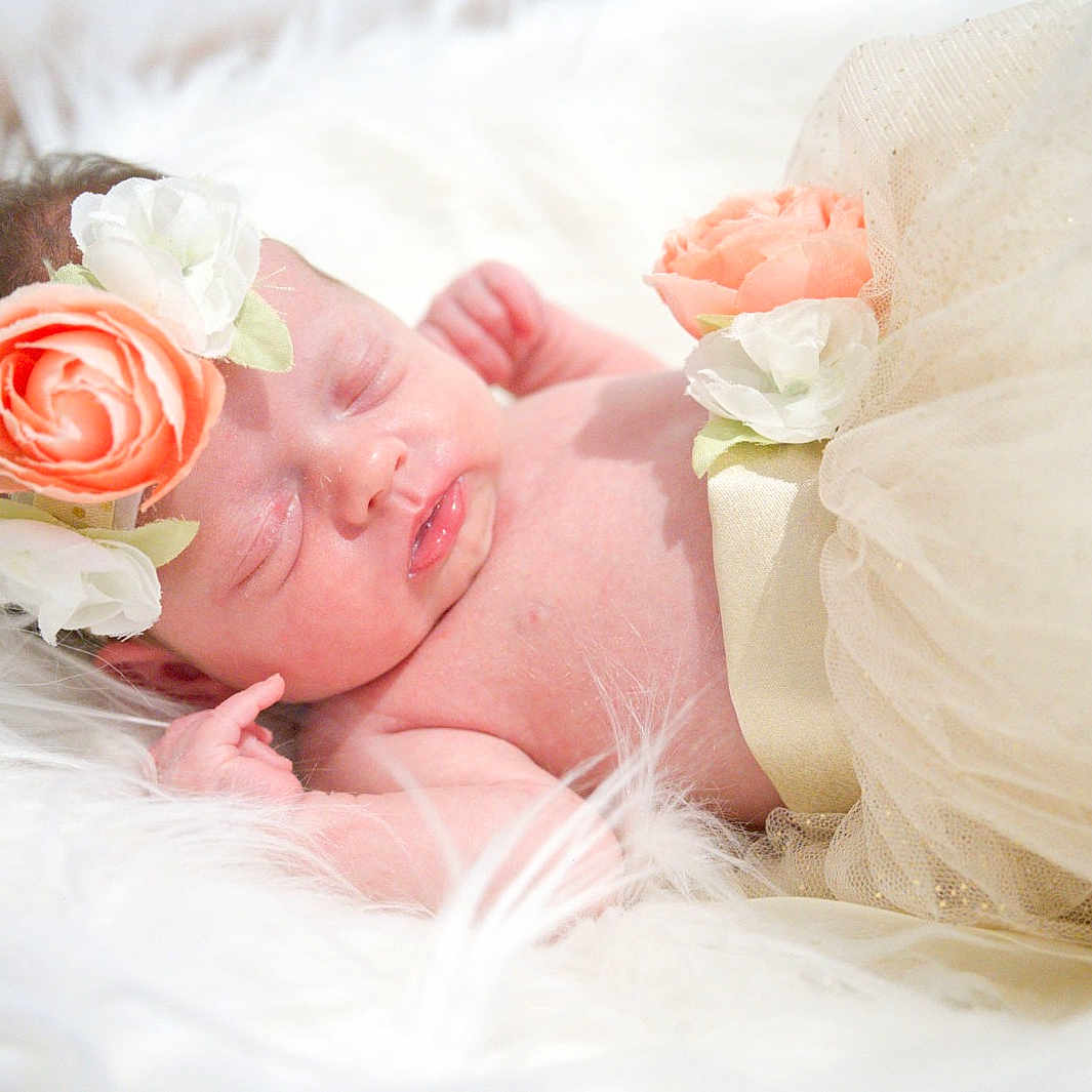 Aurora-Grace