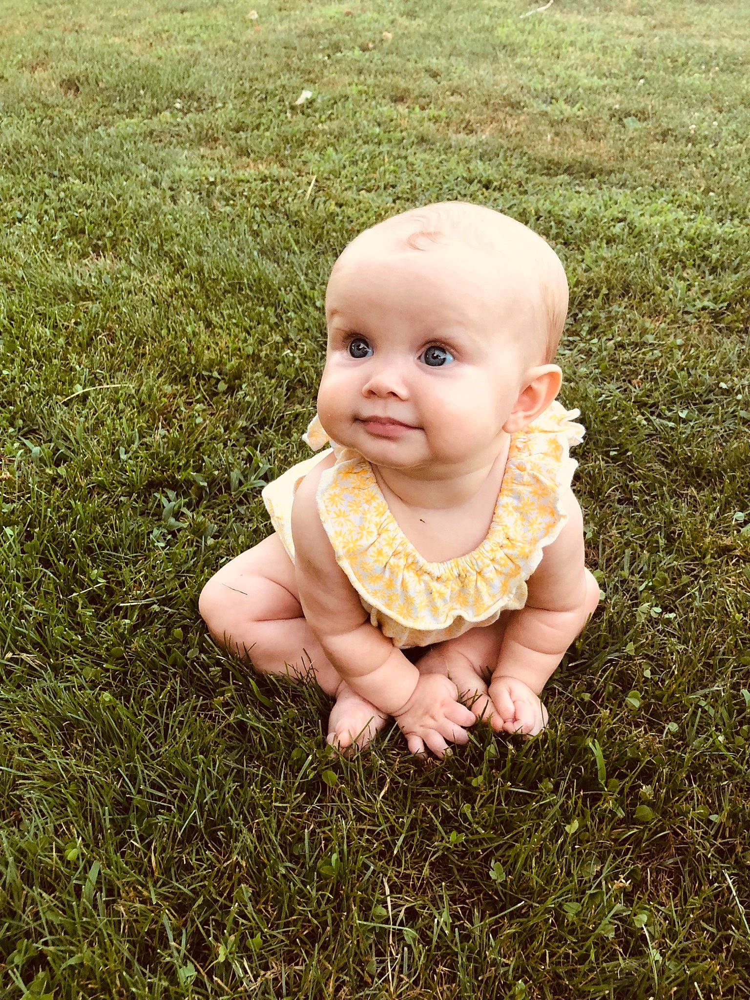 Averly joined the competition — help win amazing prizes! baby, cheek, child, face, fun, grass, grass_family, green, hand, head, lawn, leaf, people_in_nature, person, photograph, plant, skin, smile, summer, toddler