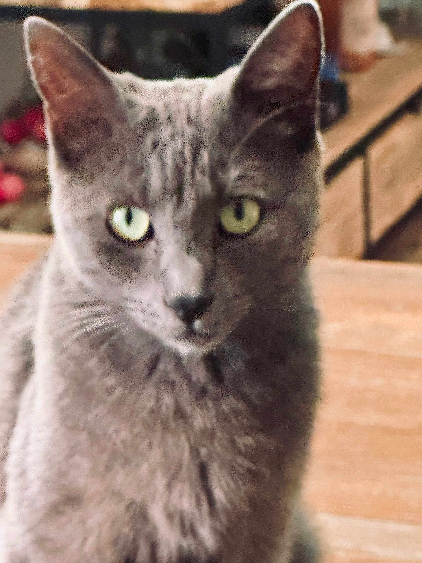 Olaf