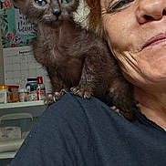 Layla Jayne Ali is registered to the contest to win money with this photo: woman, cat, pet, shoulder, indoor, calendar, shelf, bottles, smile, face, fur, clothing, curly_hair, wrinkles, necklace, curious, closeup, portrait, domestic, casual