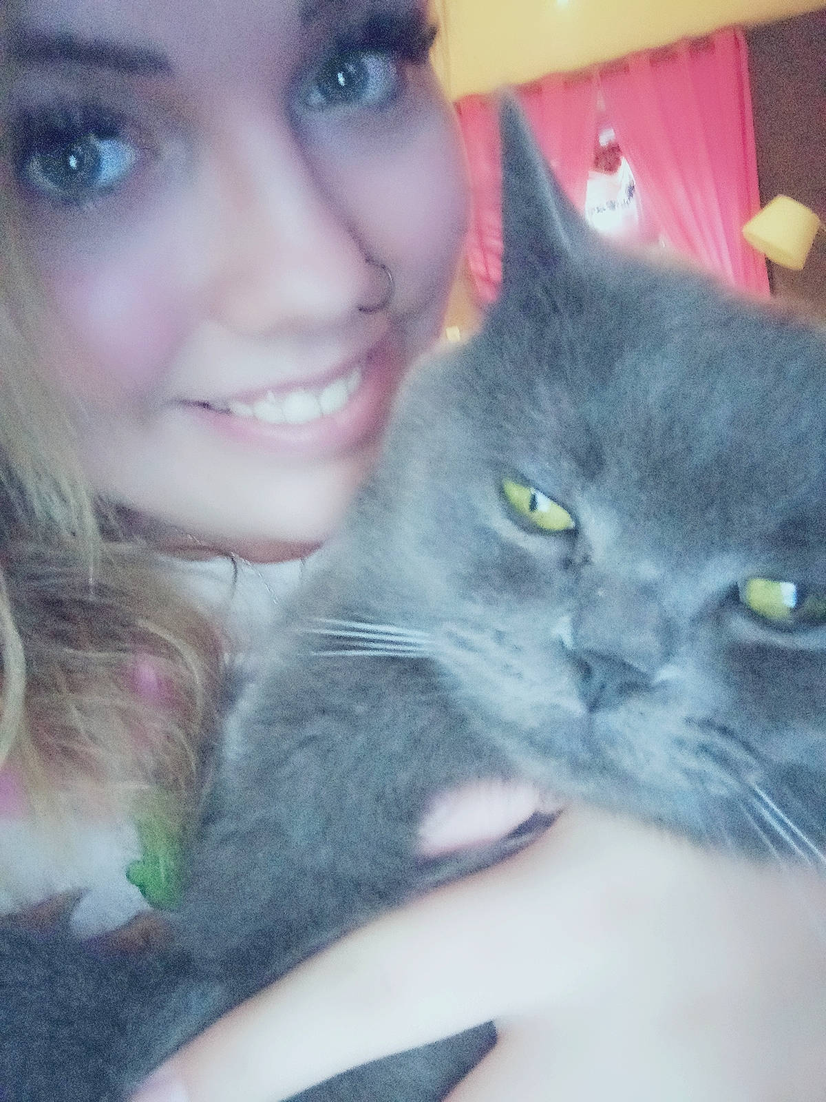 Daryl participe au concours pour gagner de l'argent avec cette photo : carnivore, cat, ear, eye, eyelash, felidae, finger, fur, gesture, happy, head, iris, long_hair, nose, organ, skin, small_to_medium_sized_cats, smile, snout, whiskers