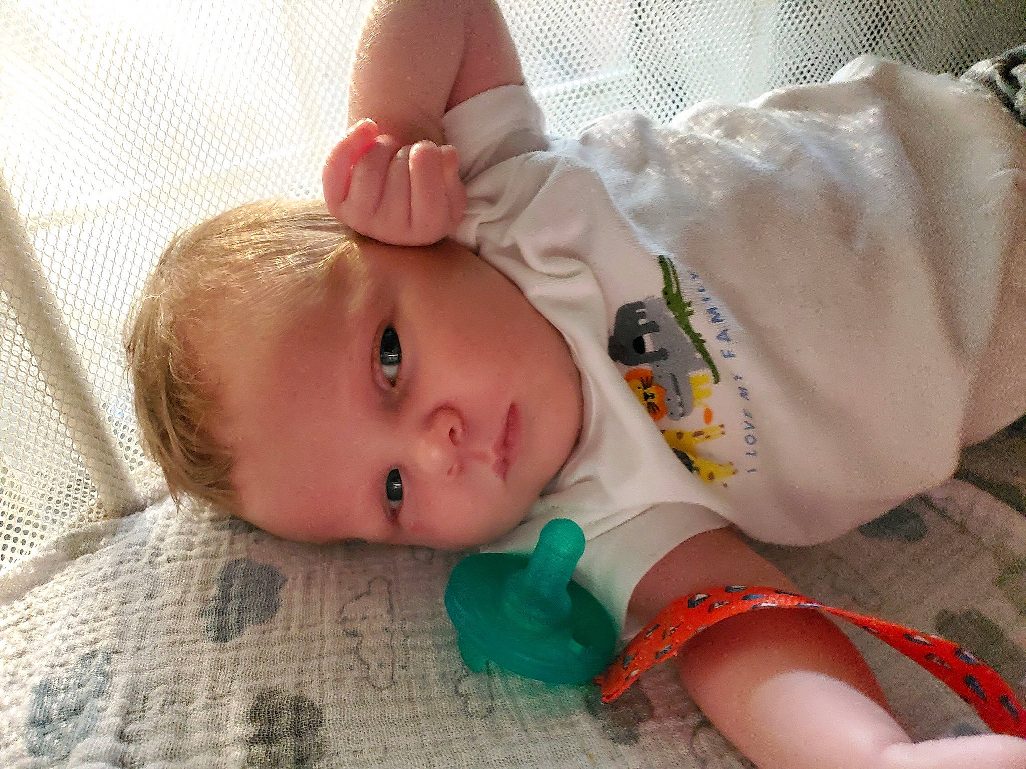 Tayson joined the competition — help win amazing prizes! arm, baby, baby_toddler_clothing, cheek, child, comfort, doll, eye, eyelash, face, hand, head, human_body, iris, linens, lip, nose, person, skin, sleeve