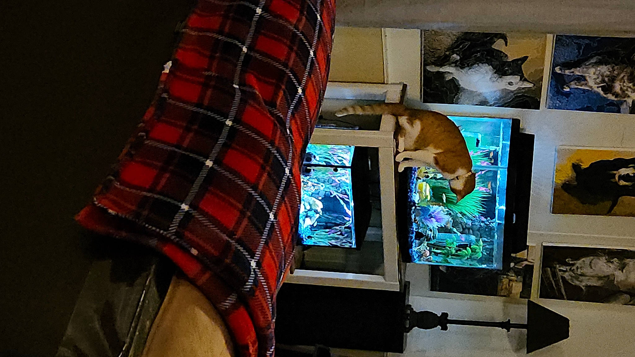 Jewelya is registered to the contest to win money with this photo: art, carmine, comfort, computer, couch, display_device, fawn, flat_panel_display, gadget, linens, multimedia, pattern, plaid, room, sleeve, tartan, television, television_set, visual_arts, wood