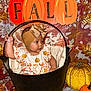 Kinlee is registered to the contest to win money with this photo: baby, infant, bucket, fall, autumn, pumpkin, headband, bow, leaves, seasonal, decor, orange, yellow, black_bucket, child, cute, blanket, portrait, indoor, celebration