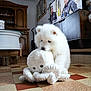 puppy, white_dog, plush_toy, octopus_toy, indoor, living_room, tiled_floor, wooden_cabinet, television, furniture, cute, pet, animal, floor, playful, cozy, home, toy, fluffy, dog