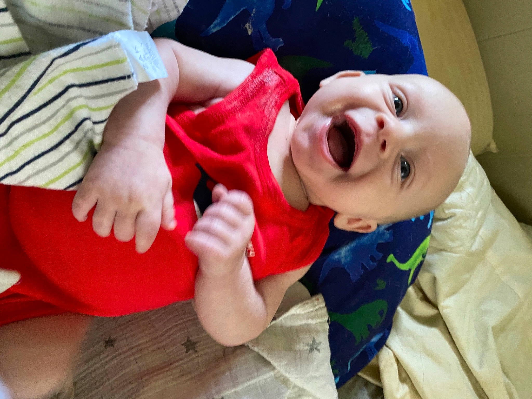 Dominik joined the competition — help win amazing prizes! baby, baby_toddler_clothing, comfort, elbow, eye, finger, fun, gesture, grass, happy, human_body, human_leg, leg, mouth, person, sitting, sleeve, smile, thigh, toddler
