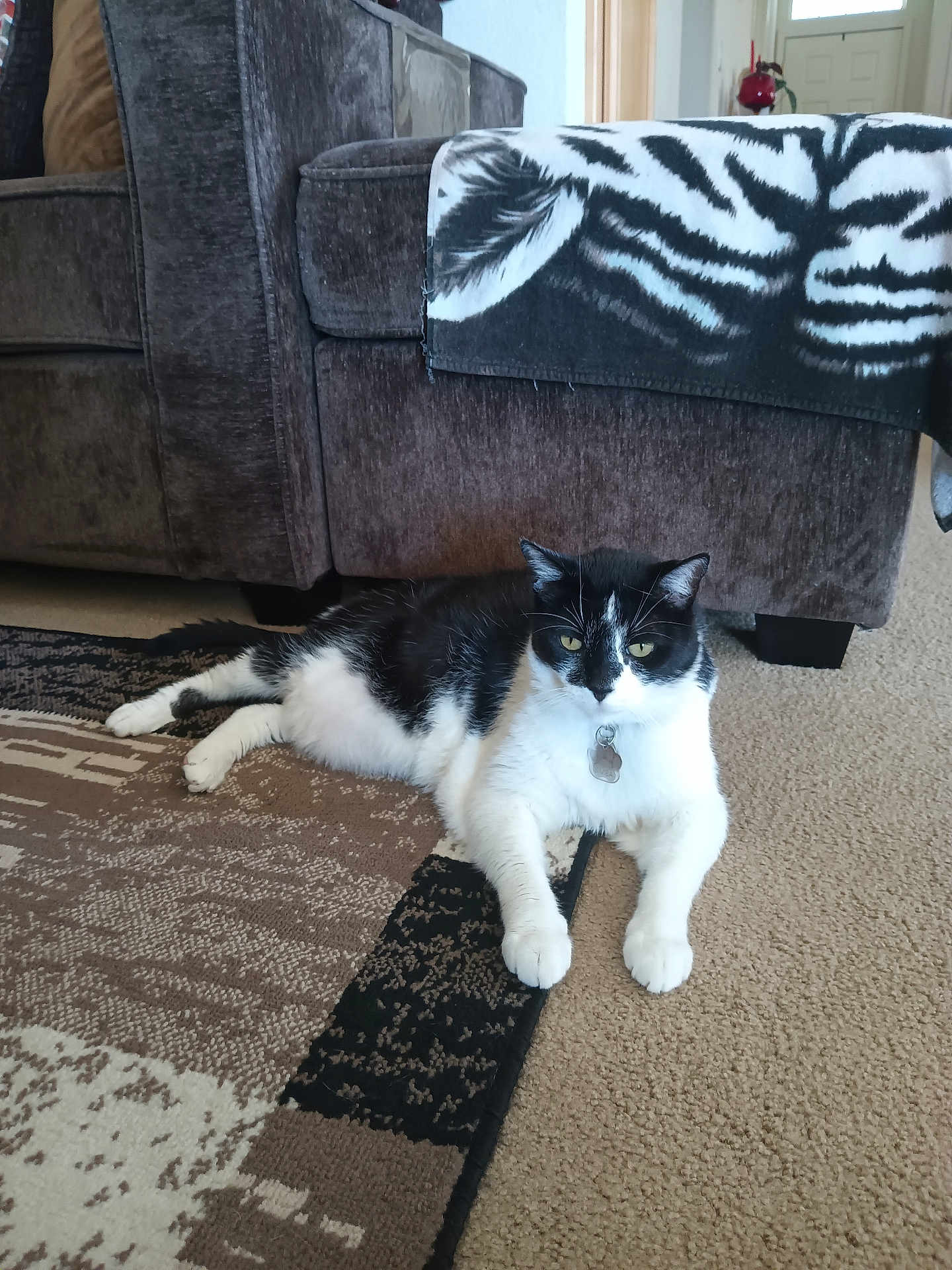 Simba