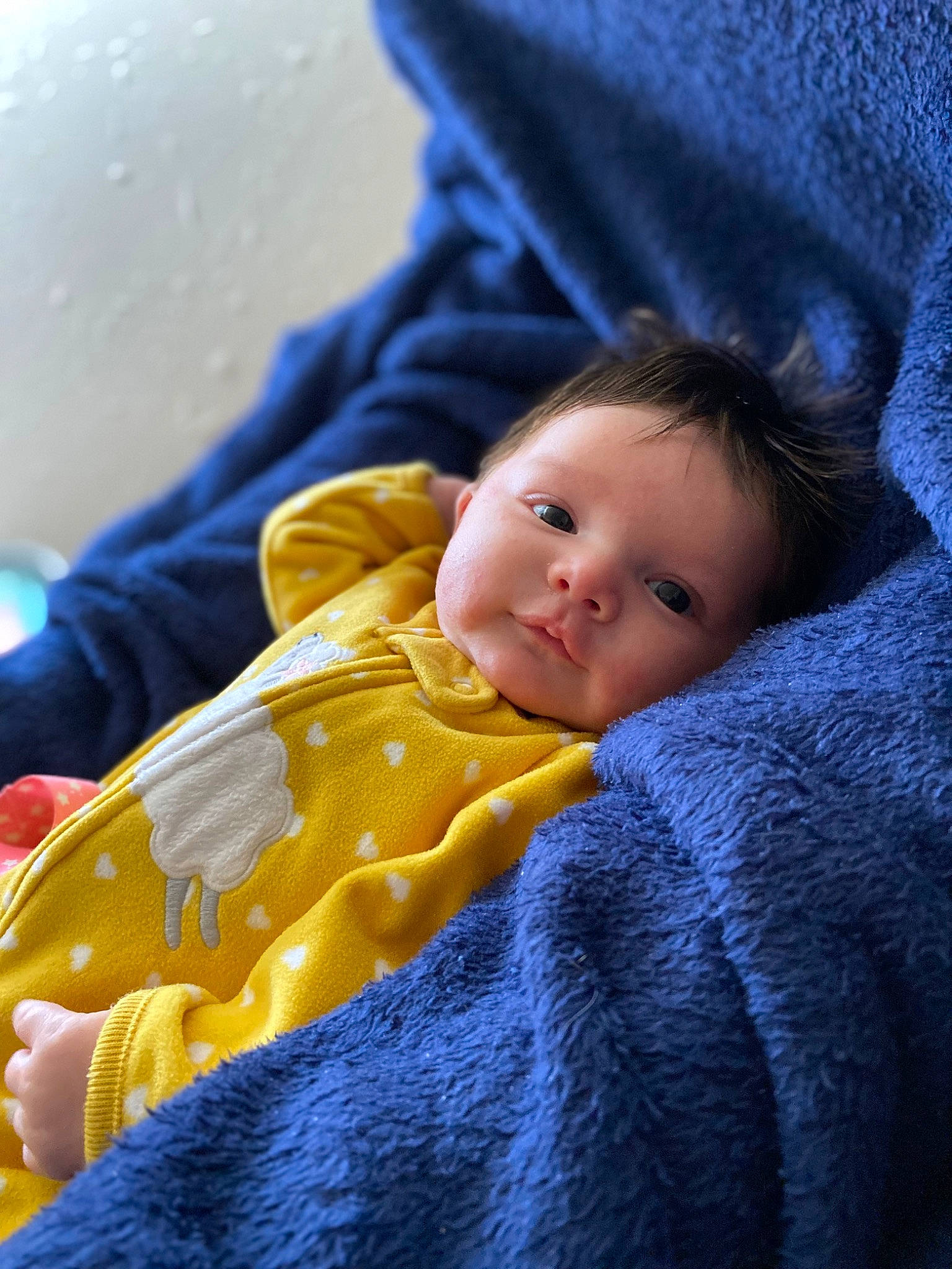 Laurel is registered to the contest to win money with this photo: baby, baby_toddler_clothing, cheek, child, close_up, comfort, electric_blue, eye, facial_expression, fun, fur, grass, happy, linens, person, portrait_photography, sitting, skin, toddler, tree