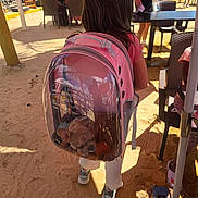 Luna is registered to the contest to win money with this photo: dog, small_dog, backpack, pink_backpack, child, outdoor, cafe, patio, sunny, sand, beach, travel, pet_carrier, transparent_bag, seated, people, chairs, table, palm_trees, vacation