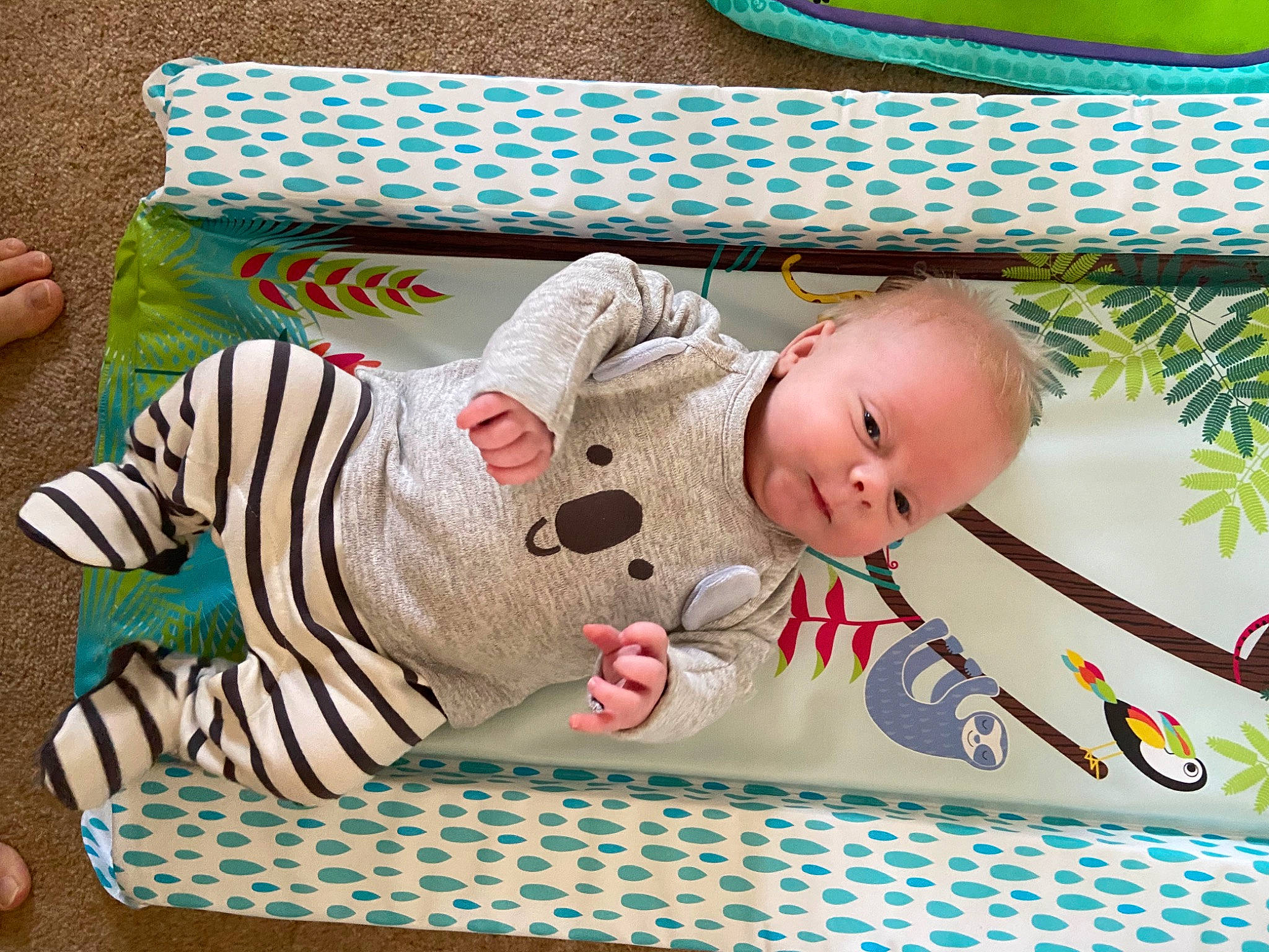 Cillian joined the competition — help win amazing prizes! baby, baby_products, baby_safety, baby_toddler_clothing, baby_toys, bedding, child, comfort, grass, green, happy, infant_bed, linens, nail, pattern, person, play, product, room, toddler