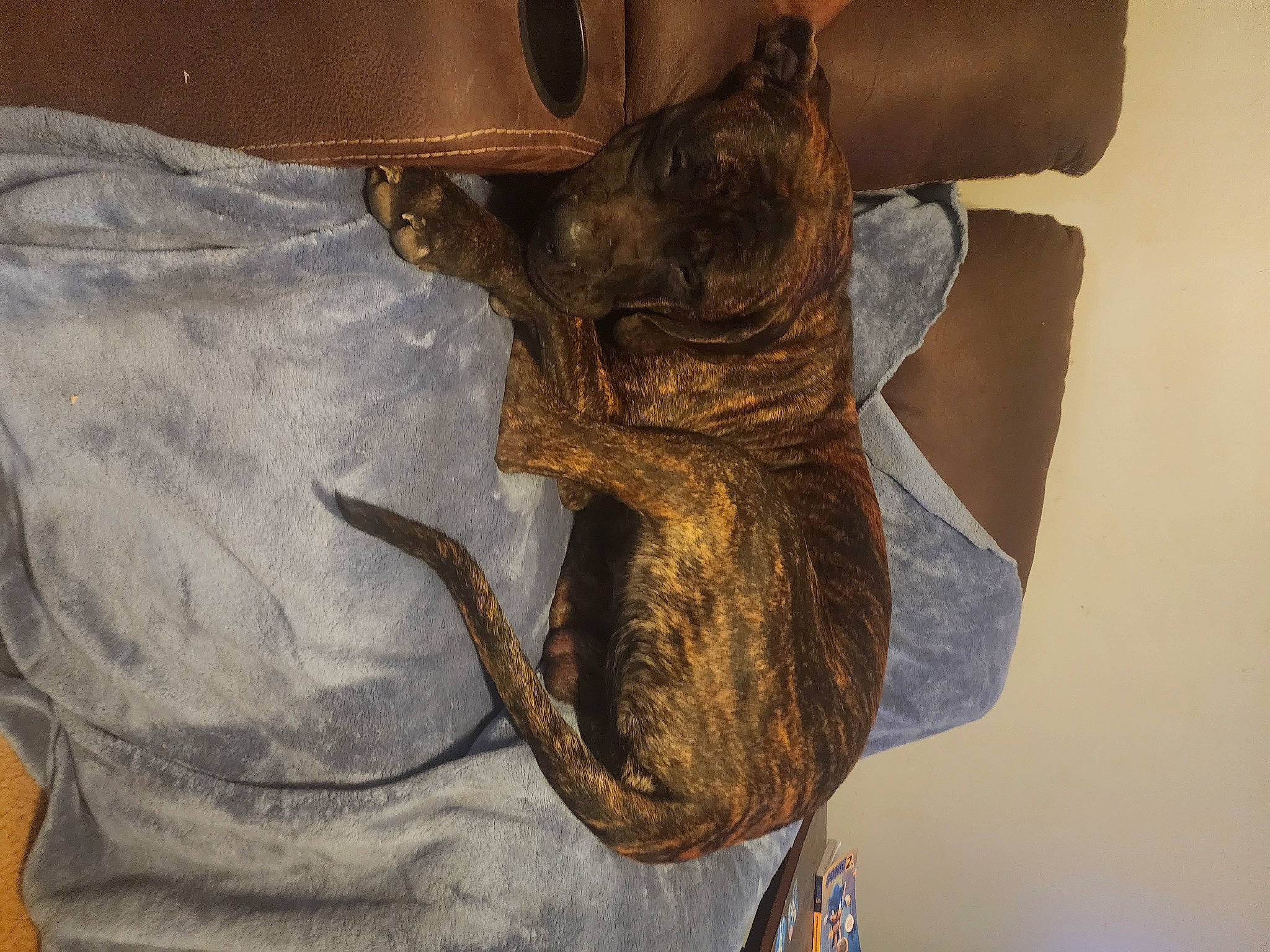 Bruno is registered to the contest to win money with this photo: art, artifact, bat, bronze, claw, denim, elbow, gesture, glove, human_leg, metal, personal_protective_equipment, pocket, safety_glove, sculpture, sleeve, visual_arts, wood, wrist