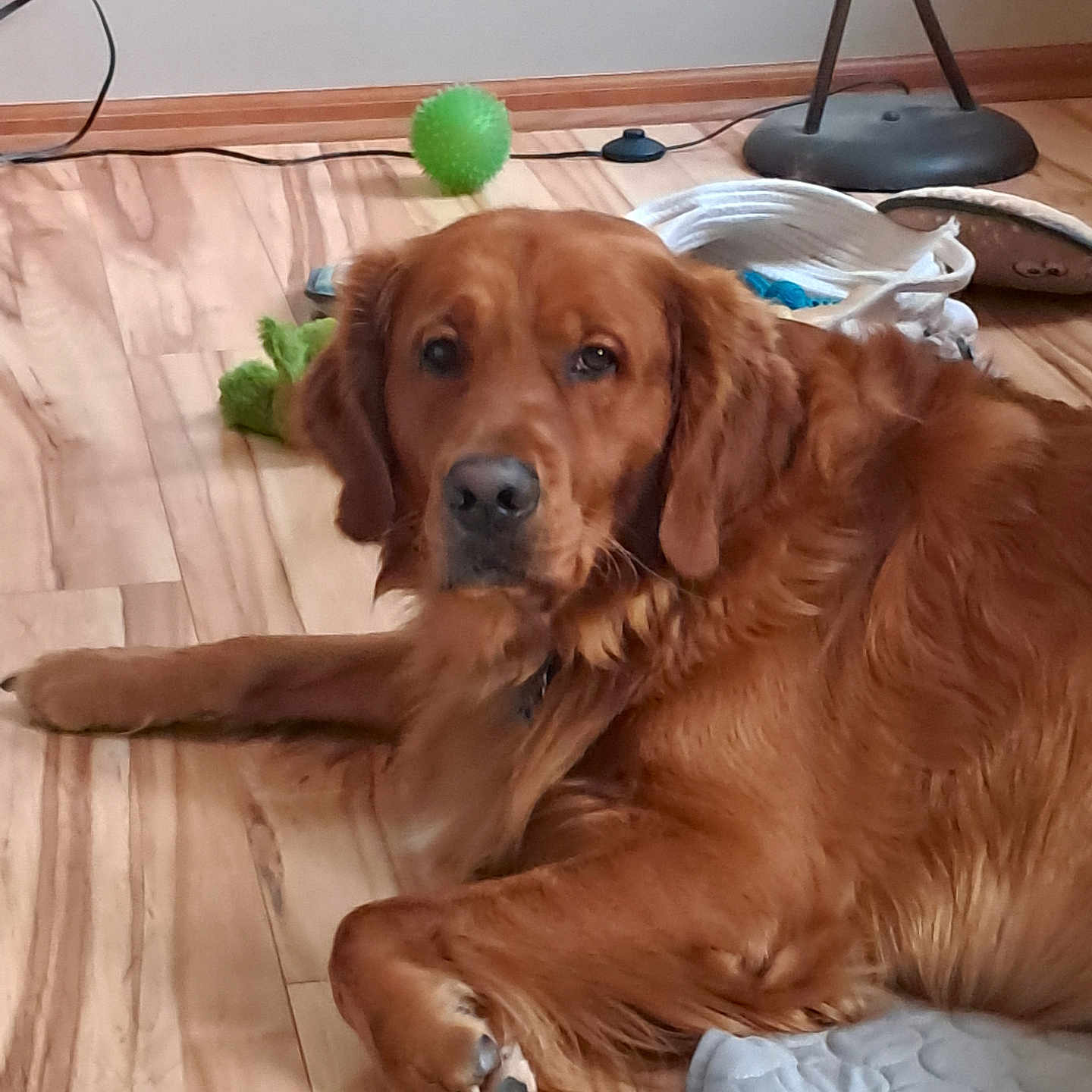 Flapjack